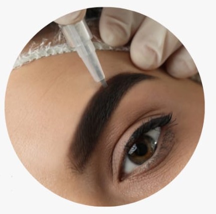 Micropigmentación Labios y Cejas